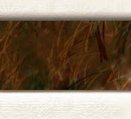 poet francine marie tolf's home page